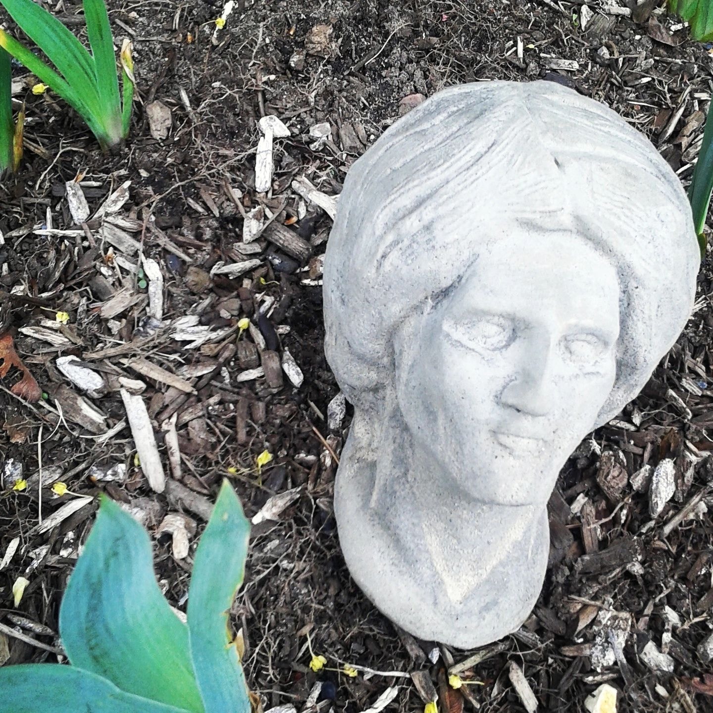Garden Head